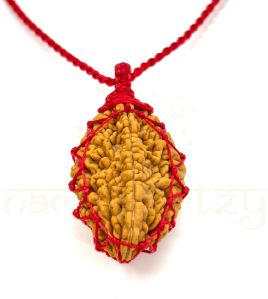 Handmade, Natural Two-Faces Rudraksha Bead Hand-Knotted Pendant