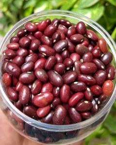 Red Rajma