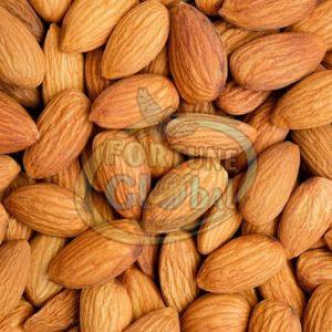 American Jumbo Almond Nuts