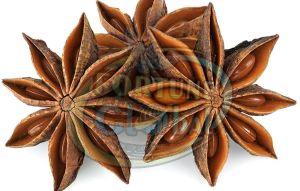 Autumn Star Anise