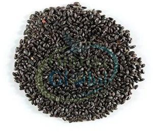 Basil Seeds