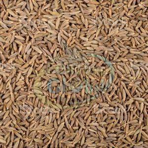 Brown Cumin Seeds