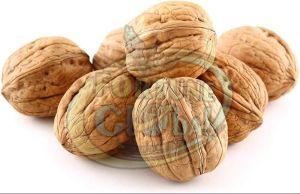 Brown Inshell Walnuts