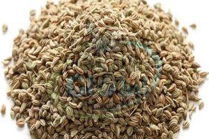 Carom Seeds