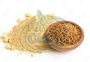 Fenugreek Powder