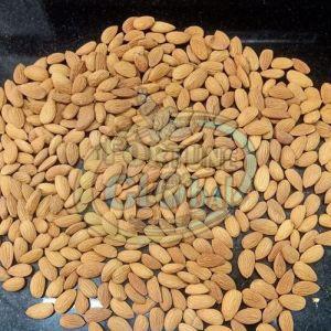 Gold Almond Nuts