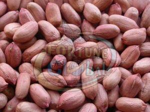 Indian Bold Peanut