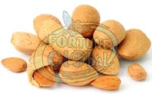 Inshell California Almond Nuts