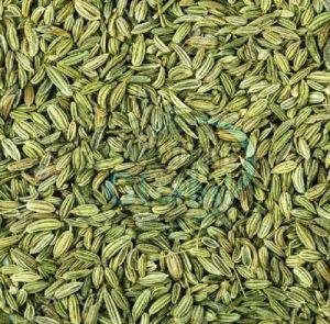 Patrani Green Fennel Seeds