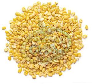 Yellow Moong Dal