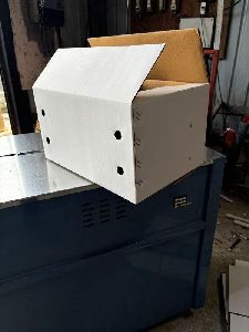 Alphonso Mango Packaging Box