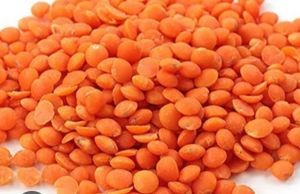 Red Lentil