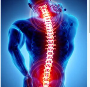 Orthopedic Surgery Service