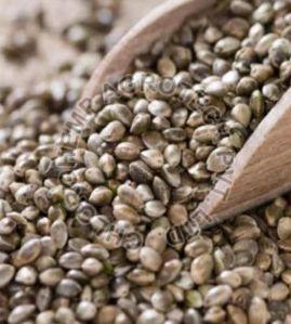 Raw Hemp Seeds