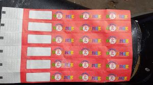 Tyvek Wristband