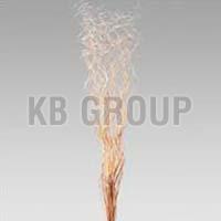 Decorative Dried Branches 03