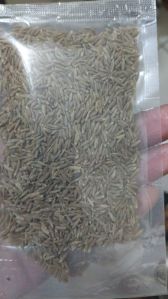 Cumin Seeds