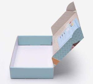Printed E-Flute Carton Box