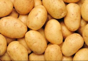 Fresh Brown Potato