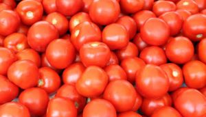 Fresh Red Tomato