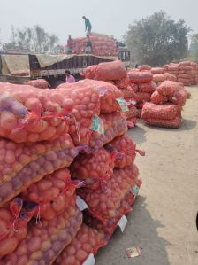 Fresh Potato