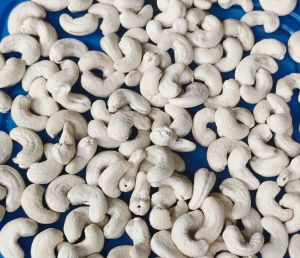 Cashew Nuts