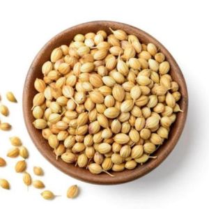 coriander seeds