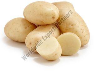 Fresh Potato