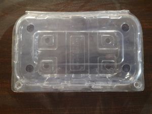 Grapes Packaging Punnet