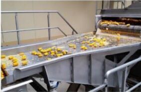 Automatic Ginger Processing Machine