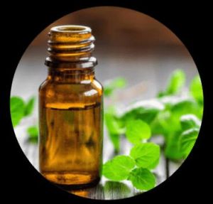 DEMENTHOLISED MINT OIL