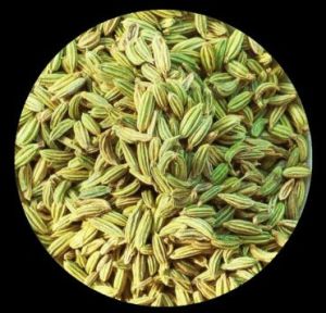 Fennel Saunf