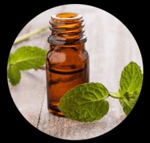 Mentha Bergamot Mint Oil (Mentha Citrata Oil)