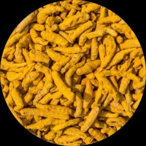Organic Turmeric Fingers