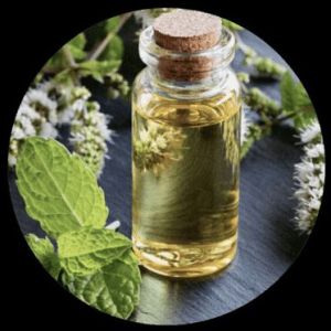 Peppermint Oil (Mentha Piperita Oil)