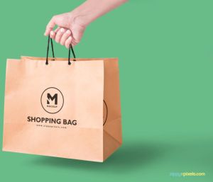 Garment Paper Bag