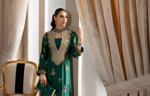 Ladies Salwar Kameez