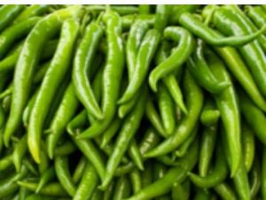 Fresh Green Chilli
