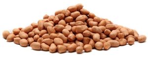 Siddab Raw Peanuts / Kachchee Moongaphalee 1 Kg