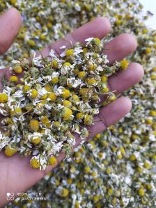 Chamomile Tea