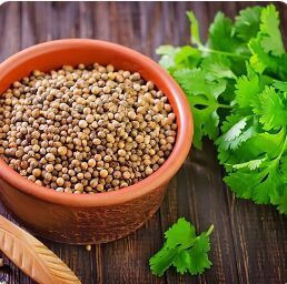 Coriander Seeds