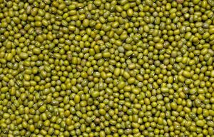 Mung Bean (Green Moong)