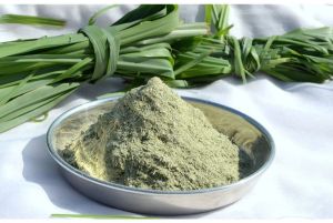 Lemongrass Leaves Powder