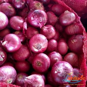 Onions