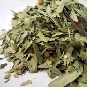 senna leaves