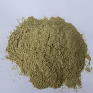 aloe vera powder