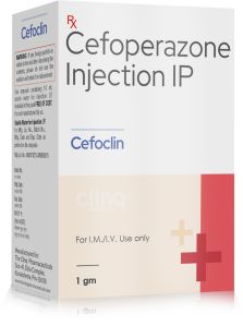 Cefoclin 1gm Injection