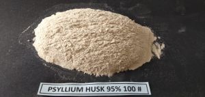 100 Mesh 95% Psyllium Husk