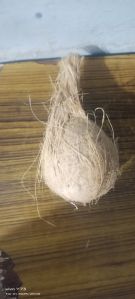 Semi Husked Coconut