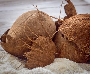 Coconut Husk